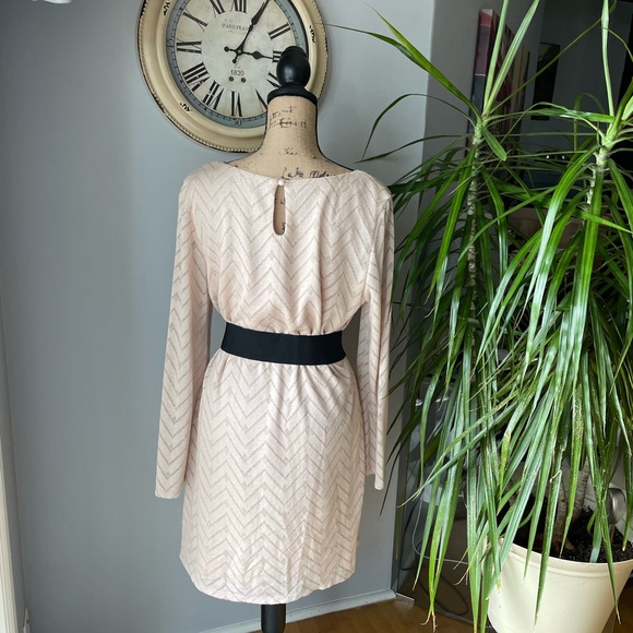NWOT Silver and Beige Long Sleeve Dress
Size XL
Brand, AUW - Picture 3 of 3